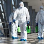 Cómo las plagas afectan la seguridad en tu negocio: Un desafío oculto