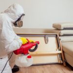 Control de plagas en el hogar: cómo proteger a tu familia